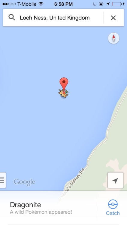fleurr-de-lis:I HAVE FOUND THE LOCH NESS MONSTER