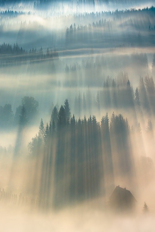 0rient-express:  He wakes up a new day... | by Boguslaw Strempel.             