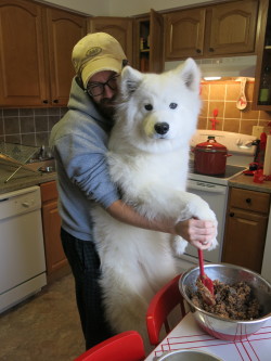 buffythesamoyed:  Stirring up the Christmas pudding with my family today! 