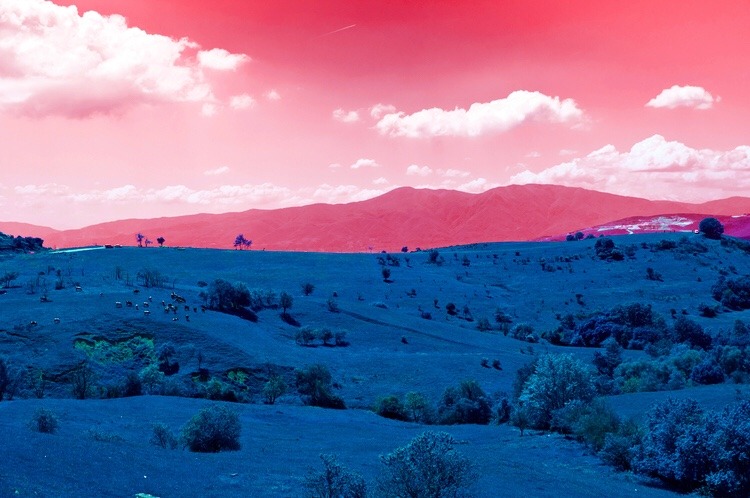 aestheticgoddess:  Doruk Sikman 