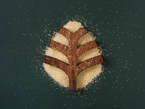 escapekit:FoodiestMexico-based design studio YuJo! Creatividad Aplicada ® has created a brand identi