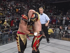 wcwrasslin:  This Day in WCW History: Ultimo adult photos