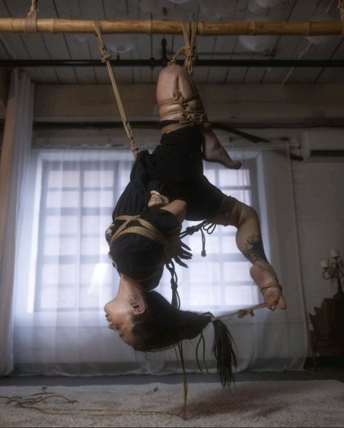 justscreenshots:  Kinbaku &amp; Photo  KissmedeadlydollModel  Lily Kasai