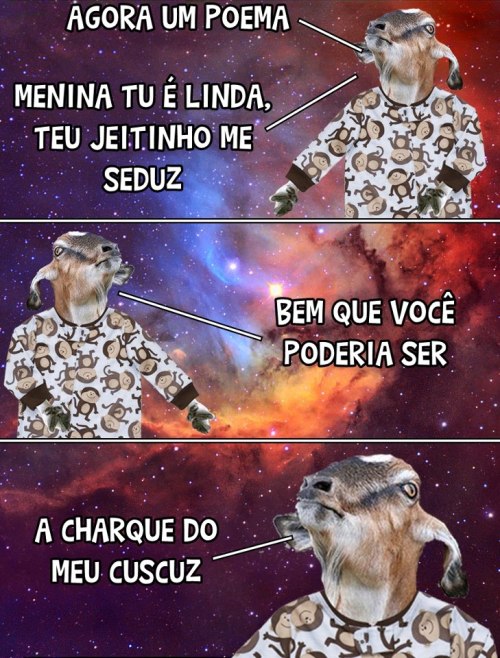 Chamego, cachaça e baião.