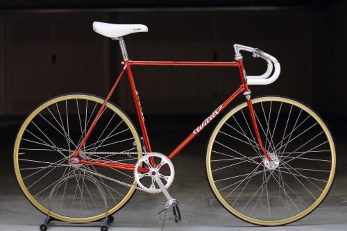 bikeplanet: Wilier Triestina Ramata Pistaby TheBikePlace