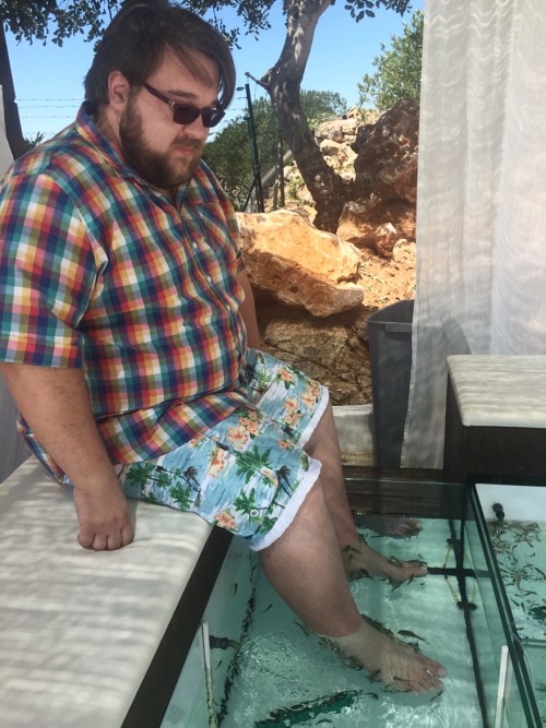 belfastcubcake:  Enjoying a Garra Rufous fish foot spa in Carveiro, Portugal
