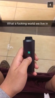 reddlr-trees:  So my friend recently got a Pax