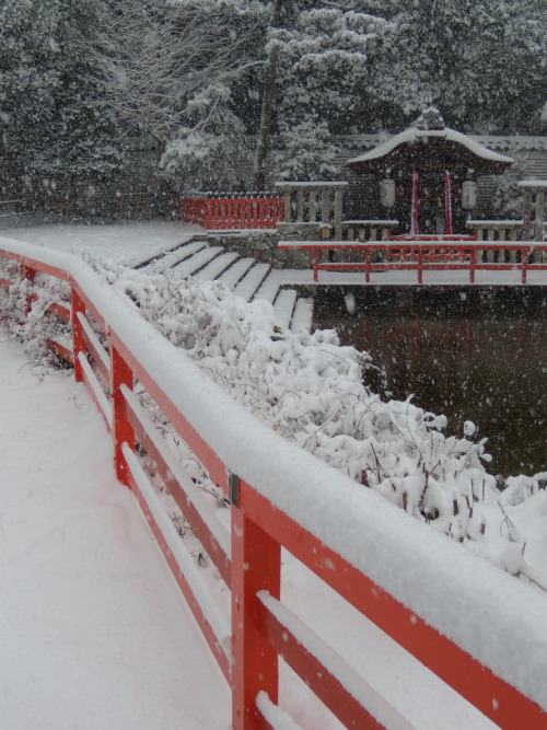 ethertune:Shimogamo shrine (By narinari884)