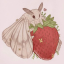 fadinglyric