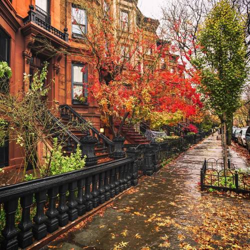 newyorkcityfeelings: Autumn, Brooklyn, New York City by @travelinglens
