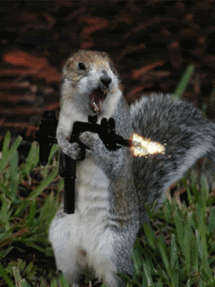 tumblr_mf5057i1iP1rmitfvo1_250.gif