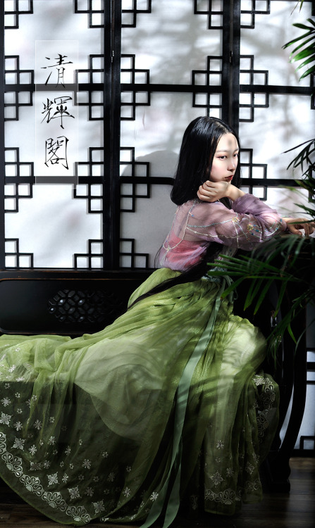 changan-moon:Traditional Chinese clothes, hanfu | 2015 Song dynasty beizi&waist-high ruqun colle