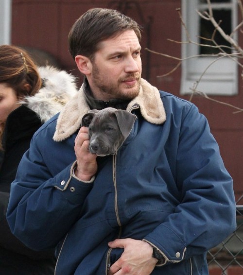 thechapterfourblog:  Tom Hardy and his pitbull adult photos