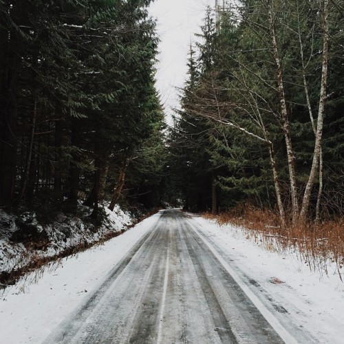 natureac:  This blog will make you feel at peace