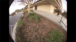 merlin-spin:  Lewis Marnell “5 Incher”