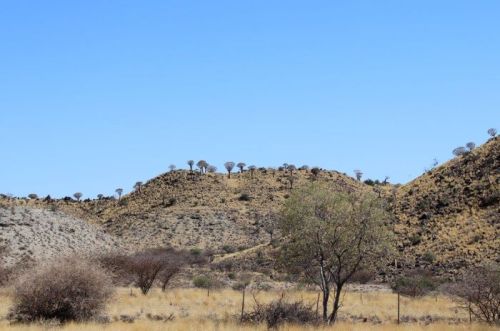 Namibia 2023/24 - Tag 10