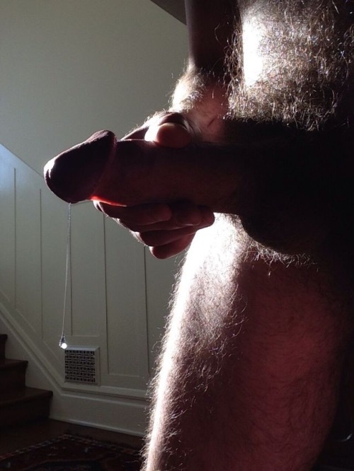 otterify:Master otter repost