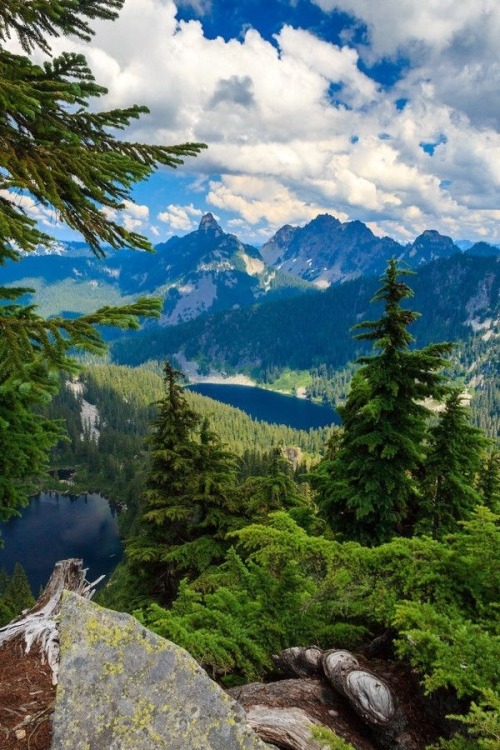 rediscoveringearth:Granite Mountain, Washington