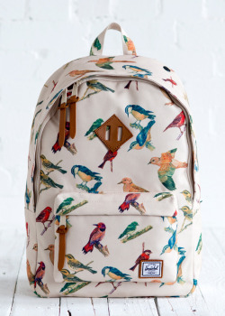 theonlystefers:  Herschel bird print - Edited by @theonlystefers 