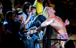 rwfan11:  Ziggler