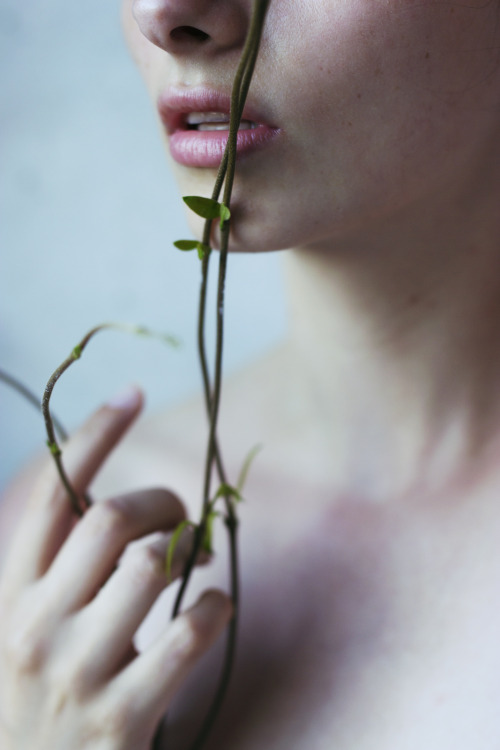 Isabella Bubola Photography