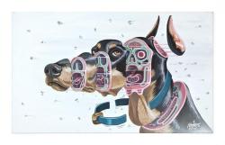 nychos:  Cross section of a Doberman (mixed