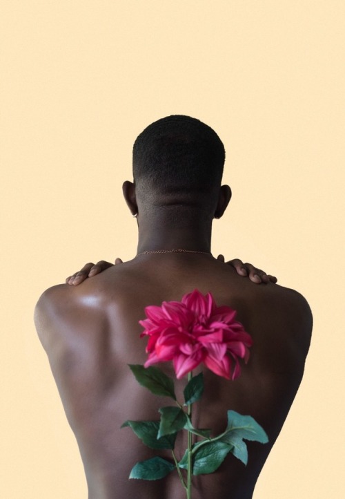 nova-rose-greene - Nova Rose