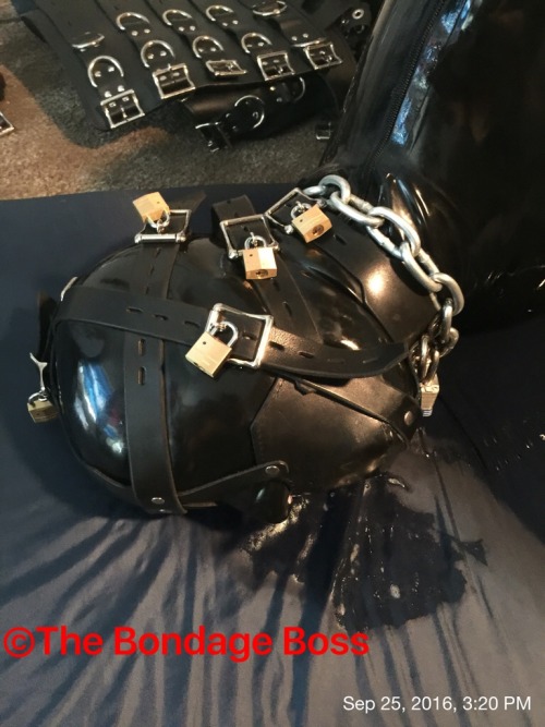 thebondageboss:  Sunday, September 25, 2016 3:30 PM  Because of the SF heat wave I skipped the Folsom Street Fair. Instead I stayed home and continued training the pig. The pig has been in some form of bondage since Thursday 10 PM  This afternoon The