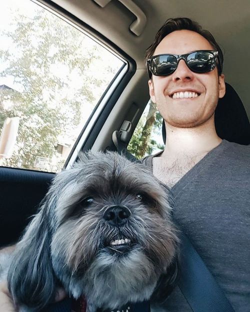 Winston&rsquo;s first car selfie. #shihtzuselfieweek #myfaves