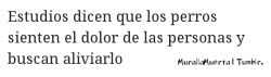 &Quot;El Tiempo Pasa.¡Tic! ¡Tac! ¡Tic! ¡Tac!&Quot;