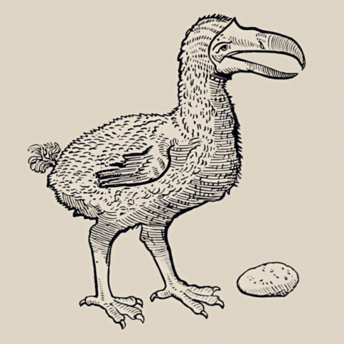 The dodo and its kindred - H. E. Strickland & Alexander Gordon Melville - 1848 - via Internet Ar