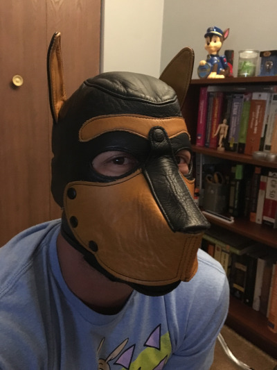 ace-puppy:  @daveywoofr, @fawn–prince, @goodboychance, @nnydlboi, @p0cket-pup, @pup-grizz, @pupsirius, @ruttpup, @tuggerpup, @twitchthepup Hooded Pups of Tumblr #21 