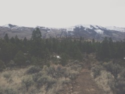 r0yalness:   went for a hike today 