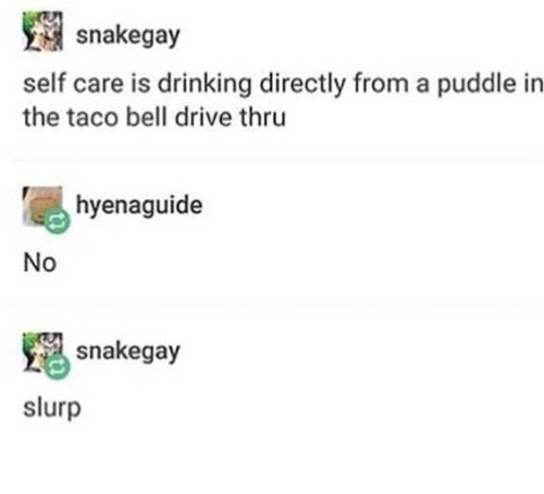 shittykinaesthetics