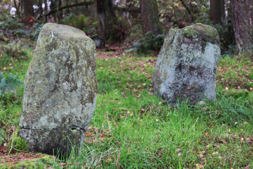 Doll Tor Stone Circle in Autumn, Derbyshire, 26.10.17. Returned today and it seemed very Autumnal; l