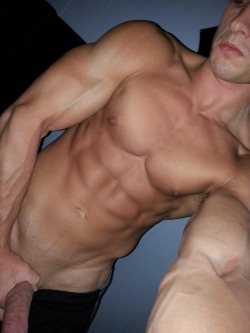 vsmx:  MuscleVision Archive: http://vsmx.tumblr.com/archive   