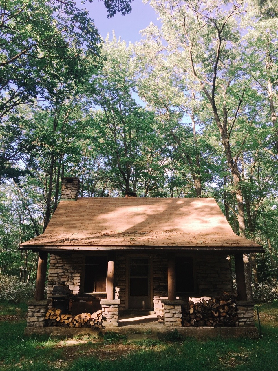 dayzea:  Central Pennsylvania, first day of summer.  (Please do not remove caption)