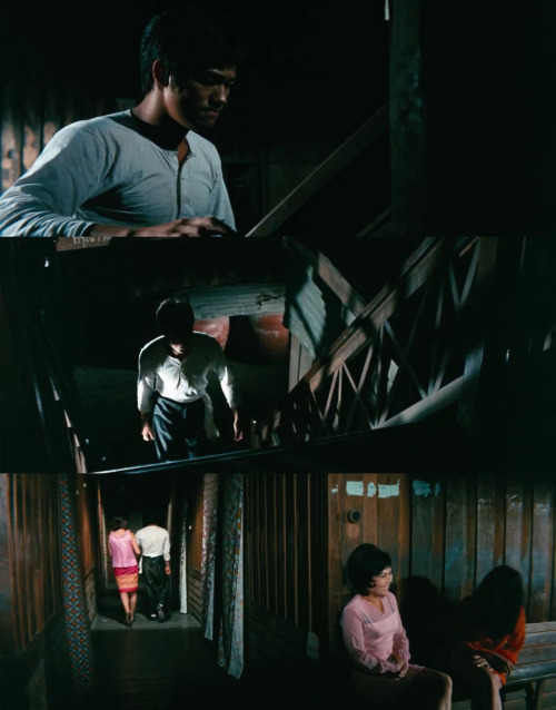 The Big Boss aka Fists of Fury (1971)dir. Lo Wei / dop. Chen Ching-Chui/ii