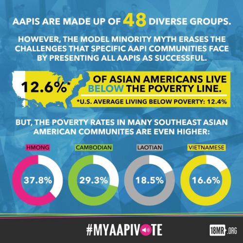 Vote to show that AAPIs are not the &ldquo;model minority.&rdquo; We need our diverse experiences ac