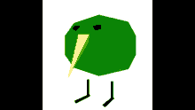 Polygonal Kiwi Fruit