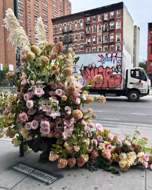 favorite-aesthetic: Flowers in New York City