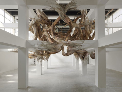 cjwho:  henrique oliveira | baitogogo at palais de tokyo, paris a complex network of organic material invades the architecture at the palais de tokyo in paris, in brazilian artist henrique oliveira’s ‘baitogogo’. the installation is a matrix of