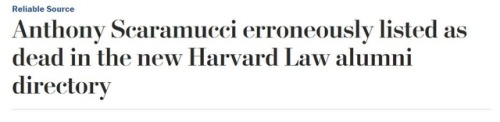 egowave:scaramucci found dead in miami