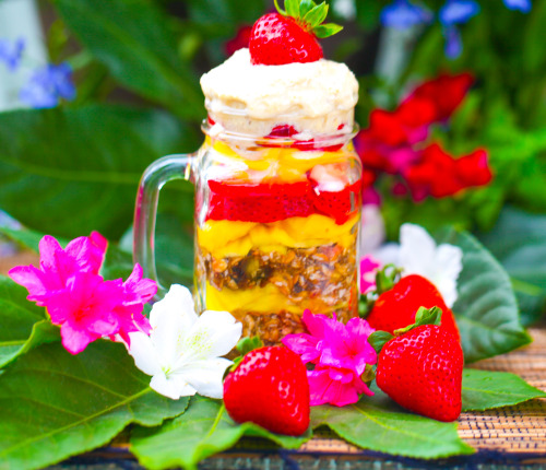 Olenko’s Raw Vegan Oat Parfait with Jackfruit and Strawberries   Oats: 1 cup gluten free organ