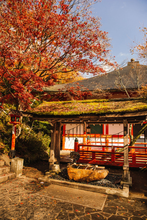 Thursday 23rd November 2017. 13:00 Mt. Kurama Kyoto.The higher I walked towards the top of the mount