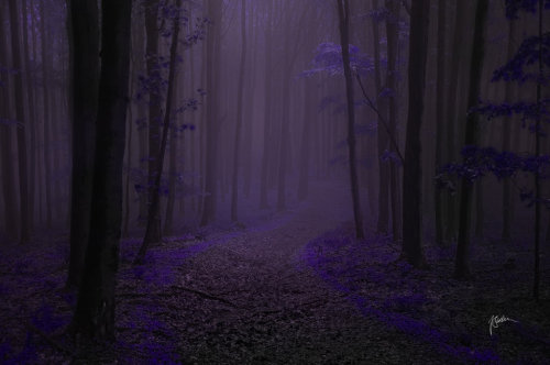 mykindafairytalee: -Mana healing- by *Janek-Sedlar