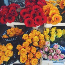 h1tcherious:  Send me flowers babe