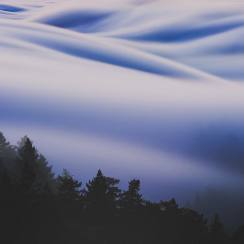 el-mo-fo-to: vaporscapes ・i | marin county, california A series of long exposure fog photos I’