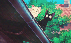 apricotedits:  Jiji (Kiki’s Delivery Service) pt. 4 