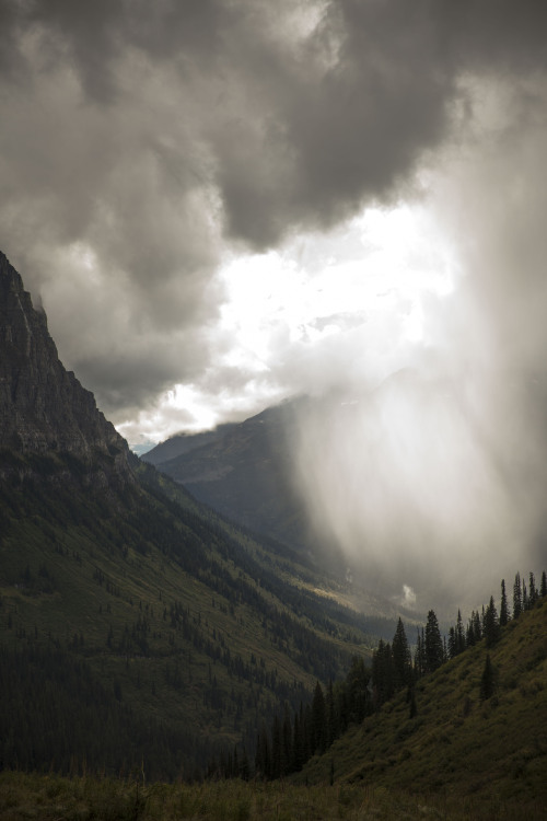 fawndeviney: Glacier National Park | September 2016 | Fawn DeViney 